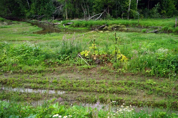 Piscines Sur Sac Près Rivière — Photo