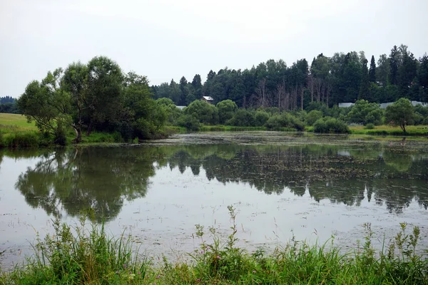 家とロシアの森近くの池 — ストック写真