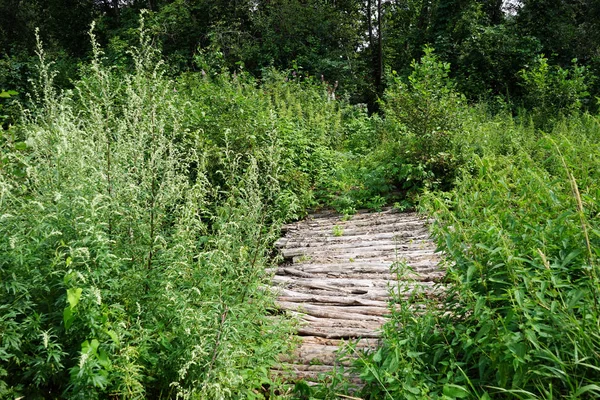 Wooden Bridge Dense Green Grass — Stock Photo, Image