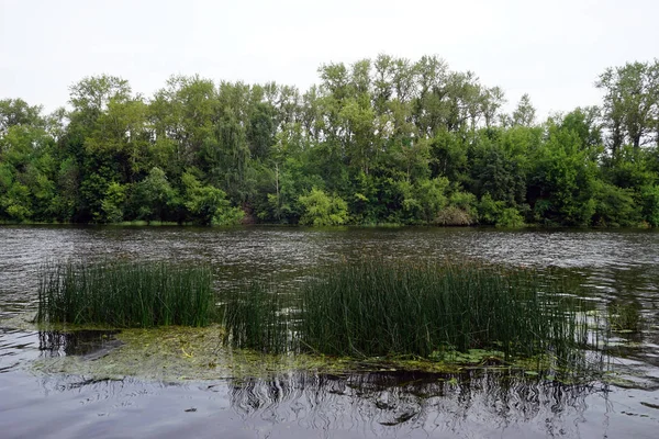 Moskou Rivier Suvorovsky Park Moskou Rusland — Stockfoto