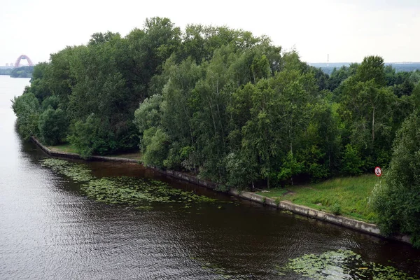 Rusya Moskova Nehri Kıyısında Park — Stok fotoğraf