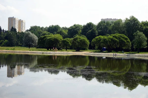 Moskova Rusya Temmuz 2018 Yaklaşık Pokrovskoe Streshnevo Park Lake — Stok fotoğraf