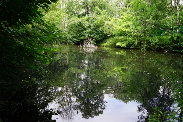 Jezero Parku Moskvě Rusko — Stock fotografie