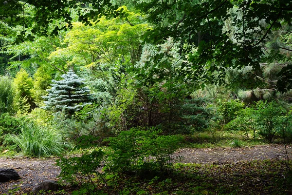 Green park in  Moscow Timiryazev Agricultural Academy