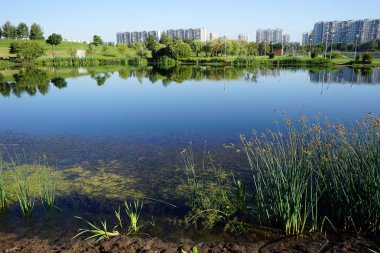 Moskova, Rusya - Temmuz 2018 yaklaşık Prudy Borisovskye Brateevo bölgesinde