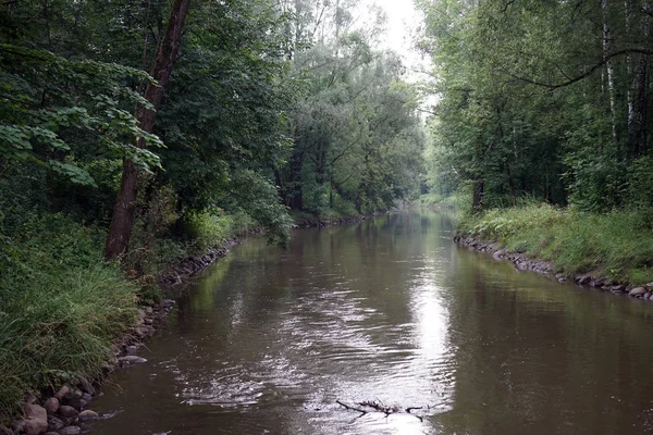 Río Losiny Ostrov Parque Nacional — Foto de Stock