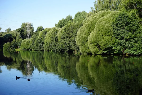 Pond Izmailovo Park Moscow Russia — Stock Photo, Image