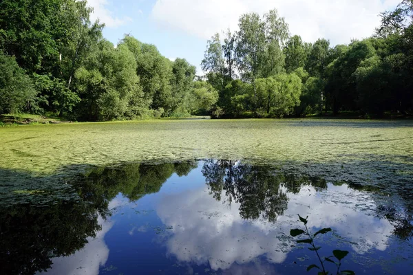 ロシアのモスクワでクスコボ公園の池 — ストック写真