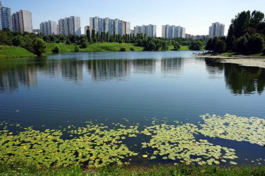 Moskova, Rusya - Temmuz 2018 yaklaşık Ochakovsky gölet