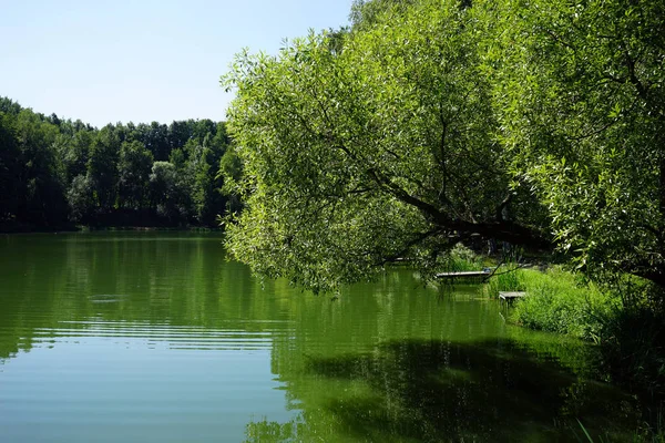 モスクワ ロシアの Uzkoe 公園の池 — ストック写真