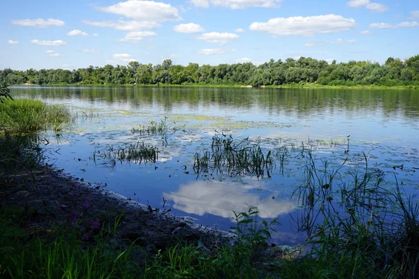 Floden Oka Nära Moskva Ryssland — Stockfoto