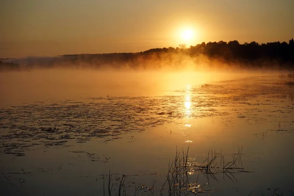 Sunrise Oka River Moscow Russia — Stock Photo, Image