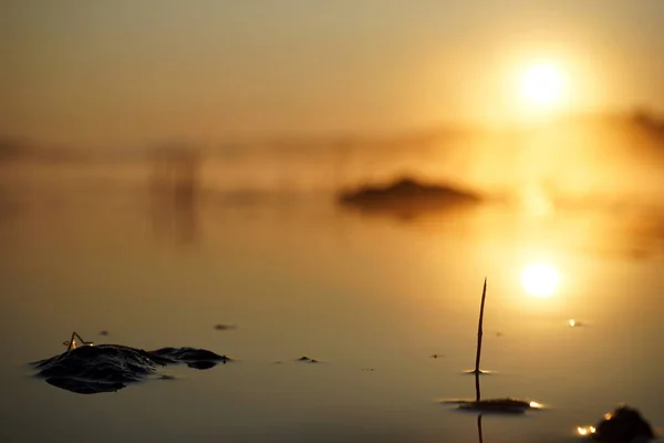 Sunrise Oka River Moscow Russia — Stock Photo, Image