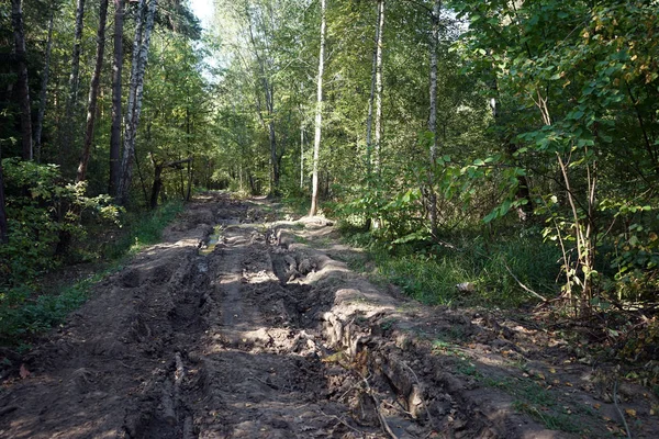 Dirt Road Forest Moscow Russia — Stock Photo, Image