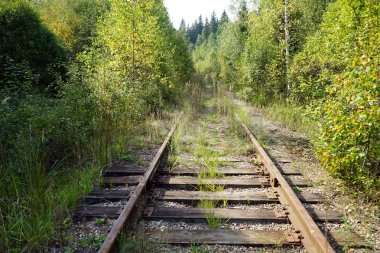 Ormanda terk edilmiş demiryolu.