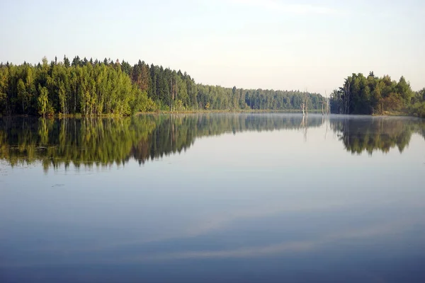 Göl Orman Moscow Region Rusya Federasyonu — Stok fotoğraf