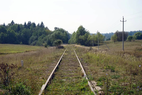 Ferrocarril Abandonado Campo — Foto de Stock