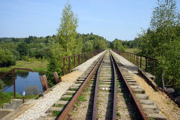 Verlaten Spoorbrug Rivier Moskou Rusland — Stockfoto