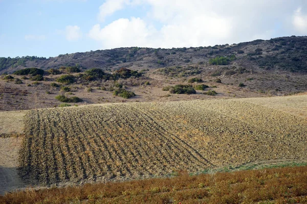 Farmland North Cyprus — Stock Photo, Image