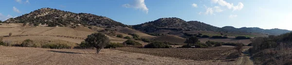 Dirt Road Plowed Farmland North Cyprus — Stock Photo, Image