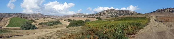 Грунтова Дорога Перець Поля Північний Кіпр — стокове фото