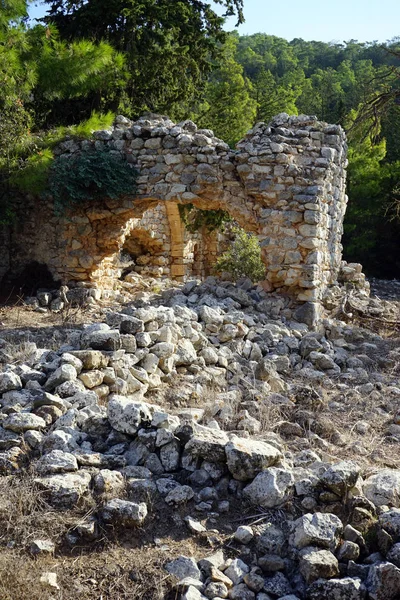 Ruiny Starego Kościoła Greckiego Drzew Północnej Cyprze — Zdjęcie stockowe