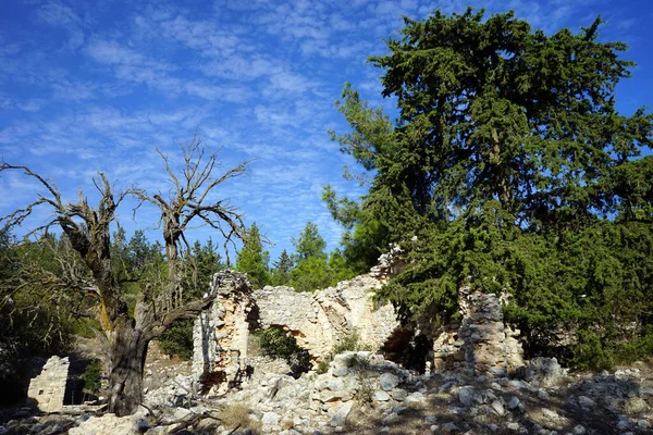Ruínas Antiga Igreja Grega Árvores Norte Chipre — Fotografia de Stock