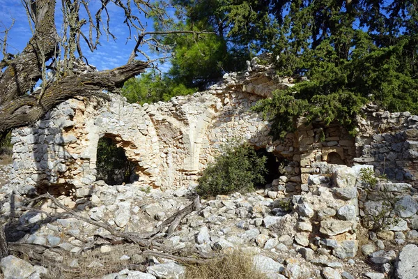 Ruiner Gamla Grekiska Kyrkan Och Träd Norra Cypern — Stockfoto