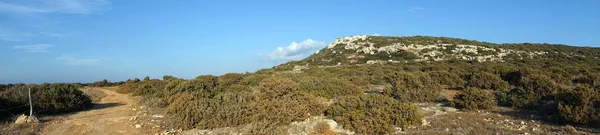 北塞浦路斯卡帕斯半岛的泥路 — 图库照片