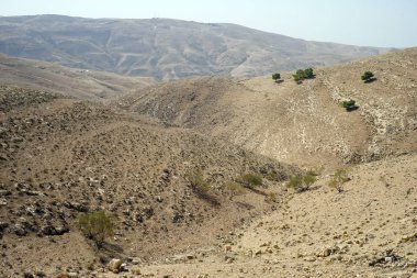Ürdün'de mount Nebo yakınındaki dağ alan