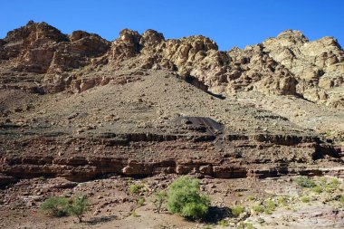 Dana Milli parkta Jordan geçit