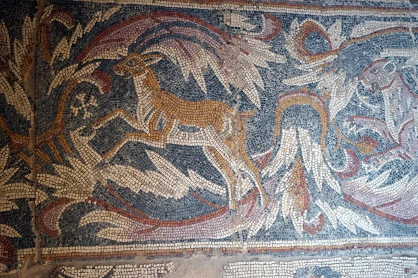 Animali Sul Pavimento Mosaico Della Chiesa Della Vergine Maria Madaba — Foto Stock