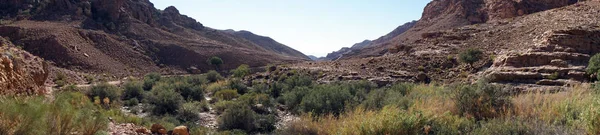 Panorama Des Gorges Dans Parc National Dana Jordanie — Photo