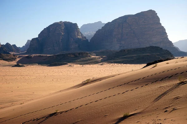 Dune Sabbia Nel Deserto Wadi Rum — Foto Stock
