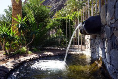 Çeşme ve palmiye ağacı adada La Gomera, İspanya