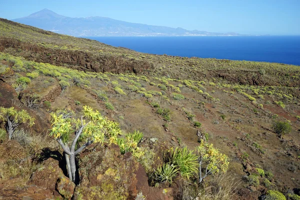 Inclinação Gomera Ilha Espanha — Fotografia de Stock