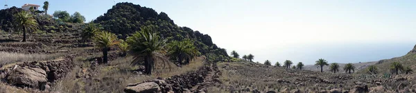 Hill Palmbomen Rotsen Het Eiland Gomera Spanje — Stockfoto