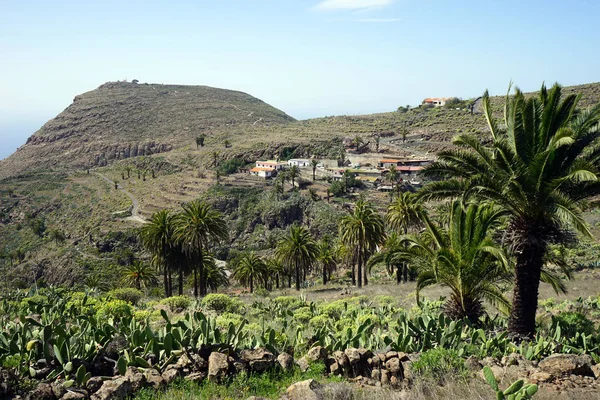 Las Cruces Wieś Wyspie Gomera Hiszpania — Zdjęcie stockowe