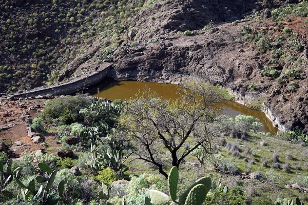 Liten Damm Med Vatten Fjällområde Gomera Spanien — Stockfoto