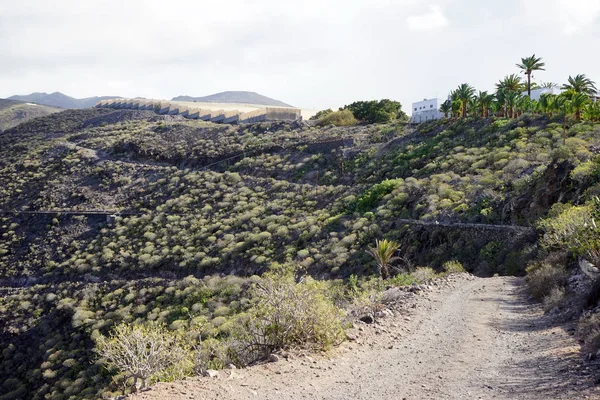 Estrada Terra Ilha Gomera Espanha — Fotografia de Stock