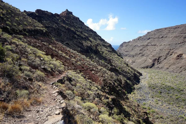 Trilha Costa Ilha Gomera Espanha — Fotografia de Stock