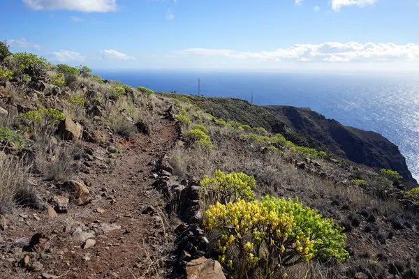 Bergpfad Auf Der Insel Gomera Spanien — Stockfoto