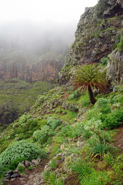 Trilho Montanha Ilha Gomera Espanha — Fotografia de Stock