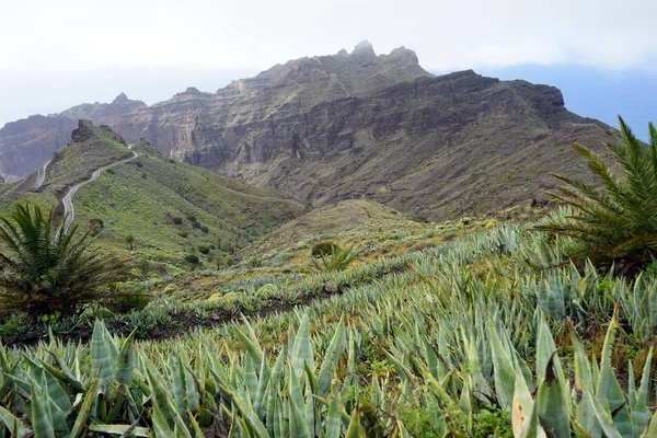 Mountain Road Gomera Island Spain — Stock Photo, Image