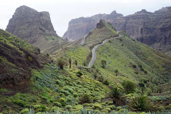 Bergstraße Auf Der Insel Gomera Spanien — Stockfoto