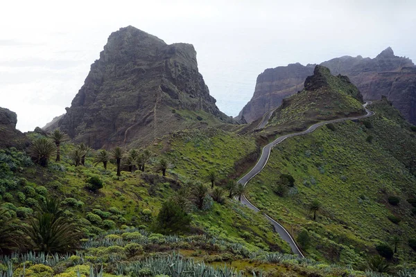 Bergweg Het Eiland Gomera Spanje — Stockfoto