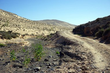 Toprak yol ve kum tepeleri Fuerteventura Adası, İspanya