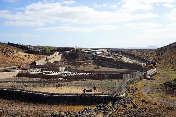 Fattoria Sull Isola Lancerote Canarie Spagna — Foto Stock