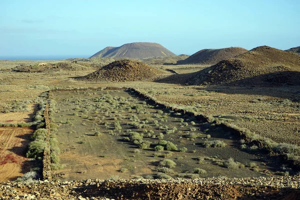 Farma Ostrově Fuerteventura Španělsko — Stock fotografie