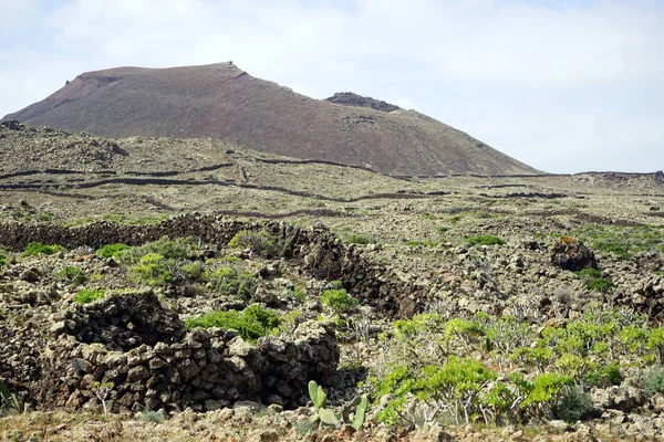 西班牙富埃特文图拉岛上的火山和石墙 — 图库照片